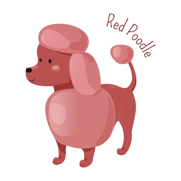 Caniche rojo aislado. Icono de patrón de diversión infantil . — Vector de stock