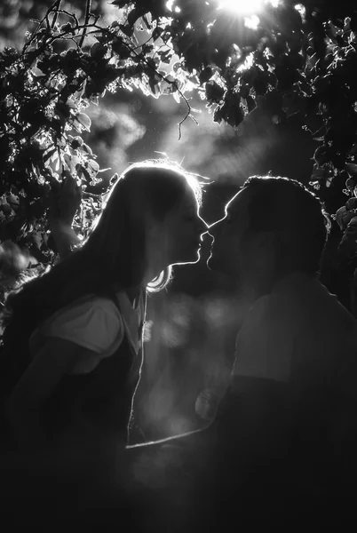 Image of happy future dad kiss the belly of his pregnant wife — Stock Photo, Image