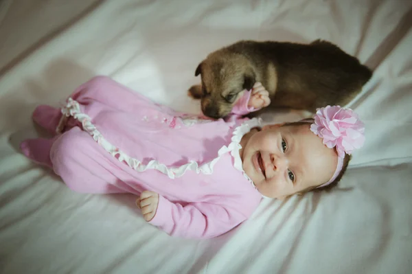 Bild von niedlichen kleinen Mädchen in rosa Anzug und Welpen auf weißem Hintergrund — Stockfoto