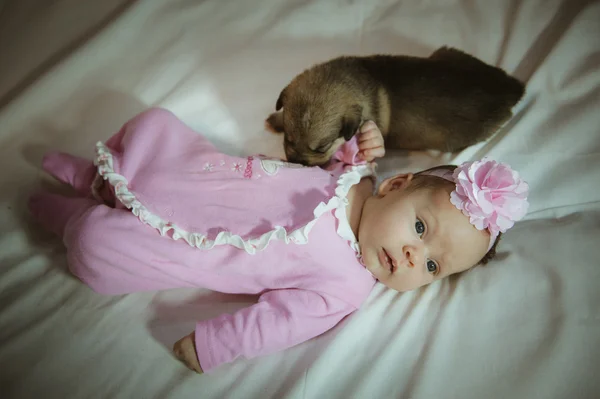 可爱的小女孩，在套粉红色的西装和白色背景上的小狗的形象 — 图库照片