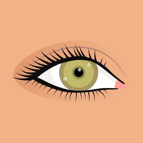 Ojos femeninos abiertos imagen con maquillaje maravillosamente de moda — Vector de stock