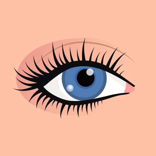 Open female eyes image with beautifully fashion make up — Stock Vector