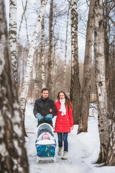 Jonge gezin lopen in winter hout. Bovenliggende trekken slee — Stockfoto