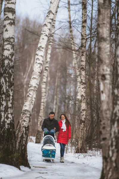 Young family walk in winter wood. Parent pulling sledge — Stock Photo, Image