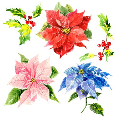 Watercolor hand drawn flowers with foliage and viburnum