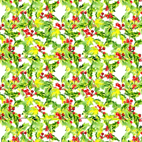 Hand drawn watercolor Christmas background with holly leaves and berries — Stok fotoğraf