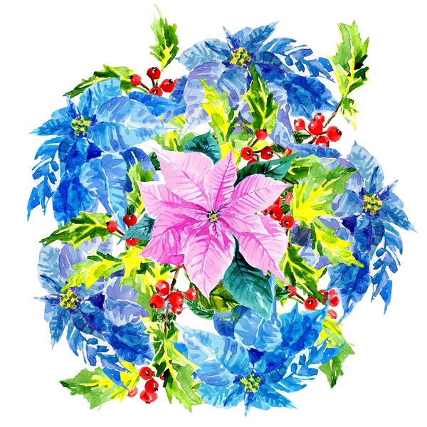 Colorful, elegant xmas design with Poinsettia in center — Stock Photo, Image