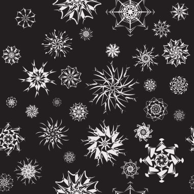 Elegant white snowflakes of various styles isolated on black background