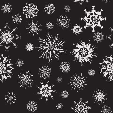 Elegant white snowflakes of various styles isolated on black background