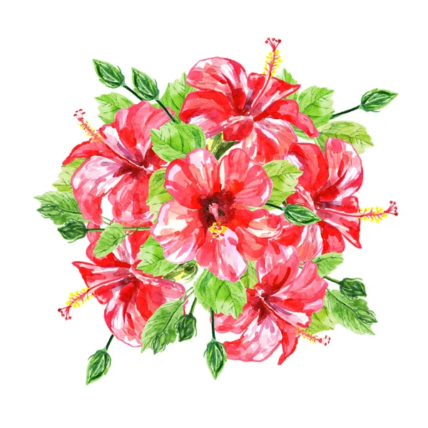 Bouquet av røde vannfarger Hibiskusblomster . – stockfoto