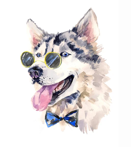 Handsome watercolor husky in bow-tie and dark sun glasses — Stockfoto