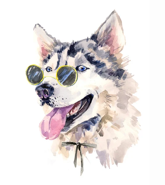 Handsome watercolor husky in bow-tie and dark sun glasses — Φωτογραφία Αρχείου