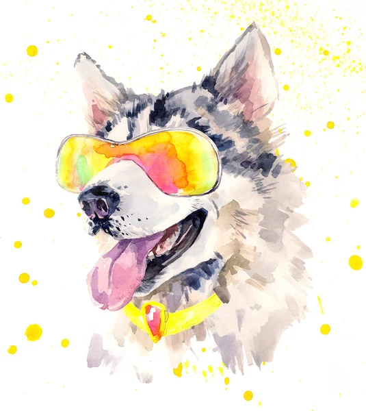 Акварельная сибирская хаски-собака в холодных солнцезащитных очках — стоковое фото