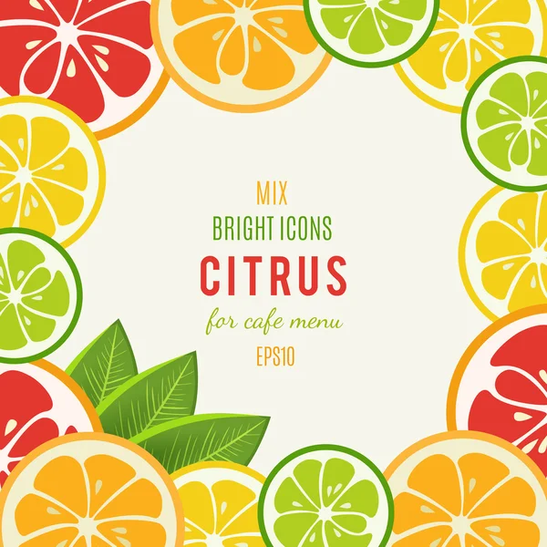 Грейпфрут, лайм, лимон и апельсин с мятными листьями — стоковый вектор