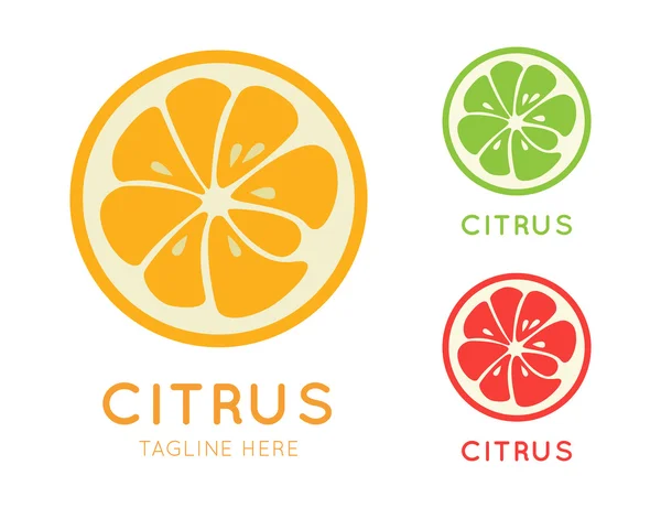 Tipos de cítricos ícone elegante. Logotipo de fruta suculenta — Vetor de Stock