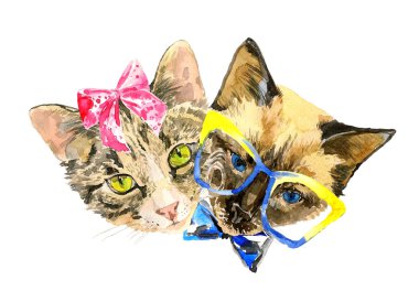 Cat lovers celebrate Valentines day