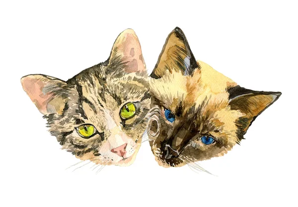 Close up fashionable portrait of two cute cats — 스톡 사진