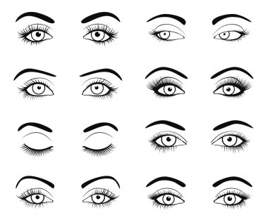 Set of female eyes and brows image with beautifully fashion eyelashes. Vector illustration for health glamour design. Black and white colors. Close and open woman eyes.