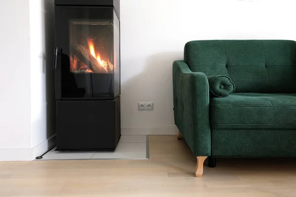 Modern scandinavian living room with green sofa and a modern freestanding contemporary fireplace