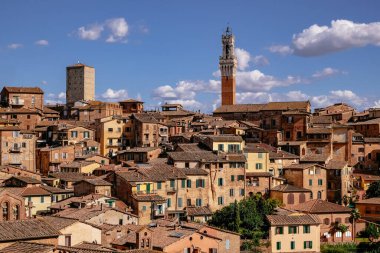 Siena 'nın panoramik manzarası Tiled Çatıları, Duomo ve Torre del Mangia - Toskana, İtalya