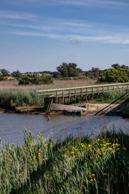 Göldeki Eski İskele - Uzun Yeşil ve Altın Sebzeli Park - Esmoriz, Portekiz
