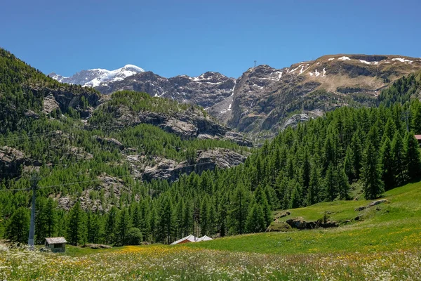 Мбаппе Вид Швейцарские Альпы Лесом Мясом Фури Мбаппе Швейцария — стоковое фото
