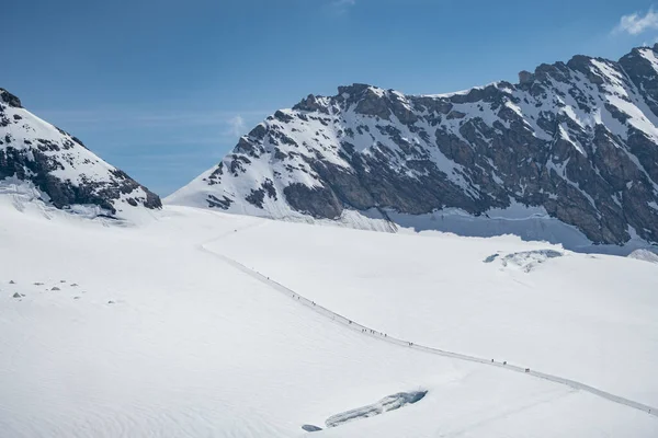 Trilha Caminhadas Neve Vista Observatório Jungfraujoch Sphinx Região Jungfrau Alpes — Fotografia de Stock