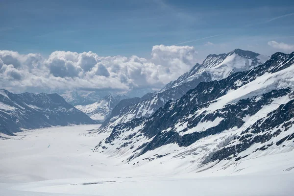 Glaciar Aletsch Região Jungfrau Parte Dos Alpes Suíços Swizerland Grande — Fotografia de Stock