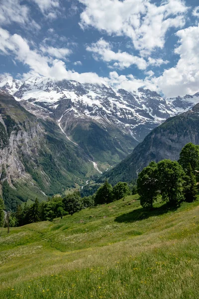 Prachtig Wandelpad Lauterbrunnen Vallei Murren Naar Gimmelwald Klein Dorp Jungfrau — Stockfoto