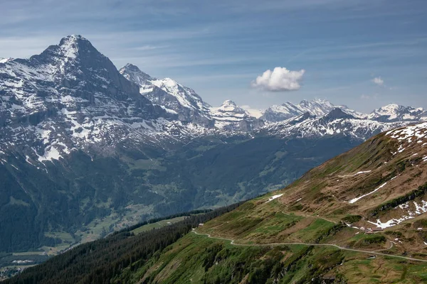 Hava Panoramik Görünümü Birincisi Grindelwald Sviçre Sviçre Alp Dağları Jungrau — Stok fotoğraf