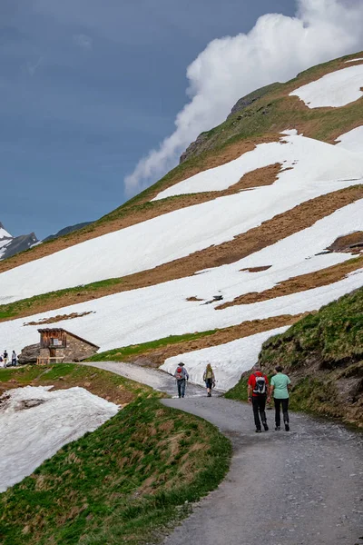 Пешие Прогулки Открытом Воздухе Первая Гора Снегом Гриндельвальд Швейцария Швейцарские — стоковое фото