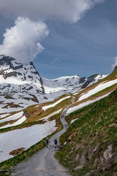 Пешие Прогулки Открытом Воздухе Первая Гора Снегом Гриндельвальд Швейцария Швейцарские — стоковое фото