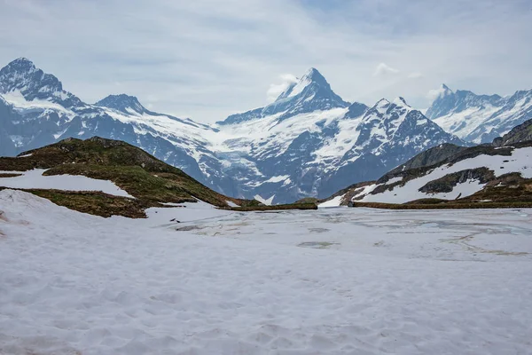 Yazın Donmuş Göl Bachalpsee Panoramik Manzarası Birincisi Grindelwald Sviçre Sviçre — Stok fotoğraf