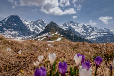 Kraliyet Yürüyüş Bakış Alanı 'ndan Hava Panorama Görünümü - Mannlichen, İsviçre Alpleri, Lauterbrunnen Vadisi, Jungfrau Bölgesi, İsviçre