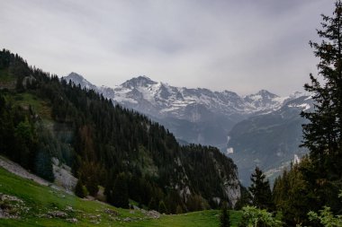 Schynige Platte, Bernese Oberland, İsviçre - Arka planda İsviçre Alpleri Eiger, Monch ve Jungfrau dağları ile Hava Panorama Manzarası