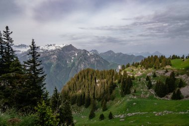 Schynige Platte, Bernese Oberland, İsviçre - Arka planda İsviçre Alpleri Eiger, Monch ve Jungfrau dağları ile Hava Panorama Manzarası