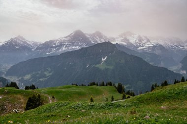 Schynige Platte, Bernese Oberland, İsviçre - Arka planda İsviçre Alpleri Eiger, Monch ve Jungfrau dağları ile Hava Panorama Manzarası