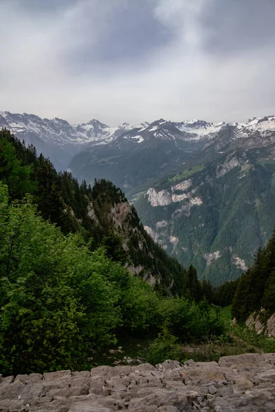 Schynige Platte Bernese Oberland Schweiz Flygfoto Med Schweiziska Alperna Eiger — Stockfoto