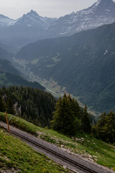 Schynige Platte Bernese Oberland Swiss 背景にスイスアルプスのアイガー モンク ユングフラウの山々と空中パノラマビュー — ストック写真