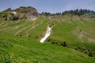 Hava Panoramik Manzarası - Rothorn 'dan Brienz' e Tren - Brienz-Rothorn bahn, İsviçre, İsviçre ve İsviçre 'deki Brinzersee göl manzaralı, güzel dağları olan küçük dişli bir demiryoludur.
