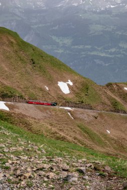 Panoramik Manzara - Rothorn 'dan Brienz' e Tren - Brienz-Rothorn bahn, İsviçre 'de güzel dağ ve Brinzersee gölü manzaralı küçük dişli bir demiryoludur.