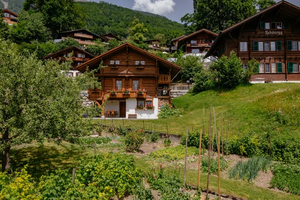 Maisons Traditionnelles Bois Dans Ville Brienz Sur Lac Alpin Brienz — Photo