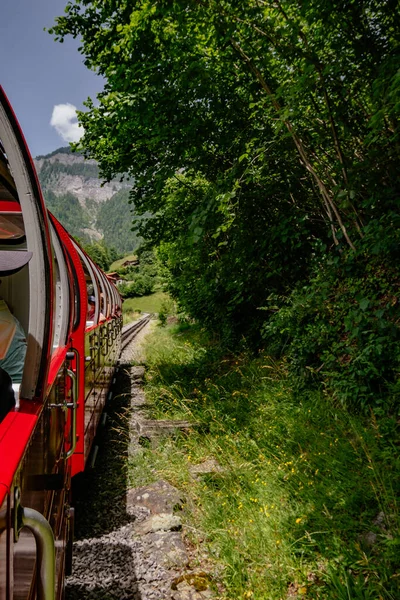 Panoramatický Výhled Otevřených Oken Vlak Rothornu Brienze Brienz Rothorn Bahn — Stock fotografie