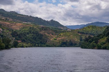Douro Nehri Vadisi 'ndeki Cruise Boat' tan görüntü - Liman Şarap Bölgesi