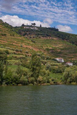 Douro Nehri Vadisi 'ndeki Cruise Boat' tan görüntü - Portekiz 'in dağlarında oyulmuş Çiftlik Terasları ile birlikte Port Wine Bölgesi