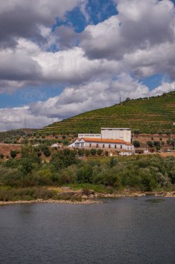 Douro Nehri Vadisi 'ndeki Cruise Boat' tan görüntü - Portekiz 'in dağlarında oyulmuş Çiftlik Terasları ile birlikte Port Wine Bölgesi