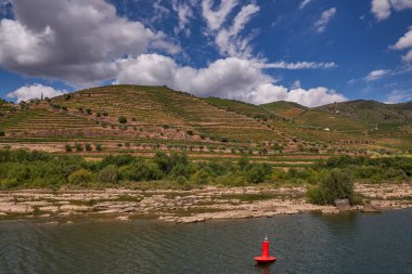 Douro Nehri Vadisi 'ndeki Cruise Boat' tan görüntü - Portekiz 'in dağlarında oyulmuş Çiftlik Terasları ile birlikte Port Wine Bölgesi