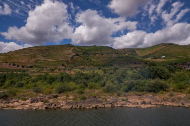 Douro Nehri Vadisi 'ndeki Cruise Boat' tan görüntü - Portekiz 'in dağlarında oyulmuş Çiftlik Terasları ile birlikte Port Wine Bölgesi