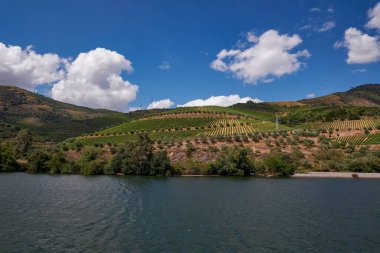 Douro Nehri Vadisi 'ndeki Cruise Boat' tan görüntü - Portekiz 'in dağlarında oyulmuş Çiftlik Terasları ile birlikte Port Wine Bölgesi