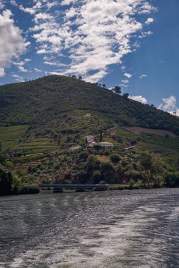 Douro Nehri Vadisi 'ndeki Cruise Boat' tan görüntü - Portekiz 'in dağlarında oyulmuş Çiftlik Terasları ile birlikte Port Wine Bölgesi